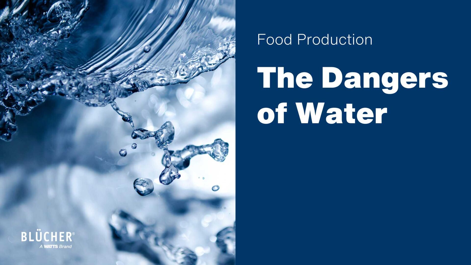 Thumbnail - The Hidden Dangers of Water in Food Production Facilities